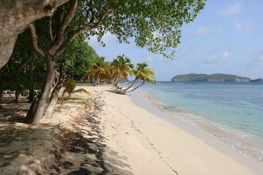 Private Tour Buccament Beach Saint Vincent and the Grenadines