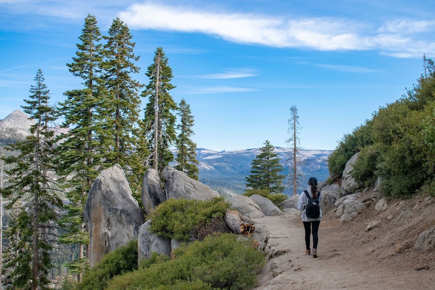 Yosemite National Park Escape Lodging Tour (3 Days)