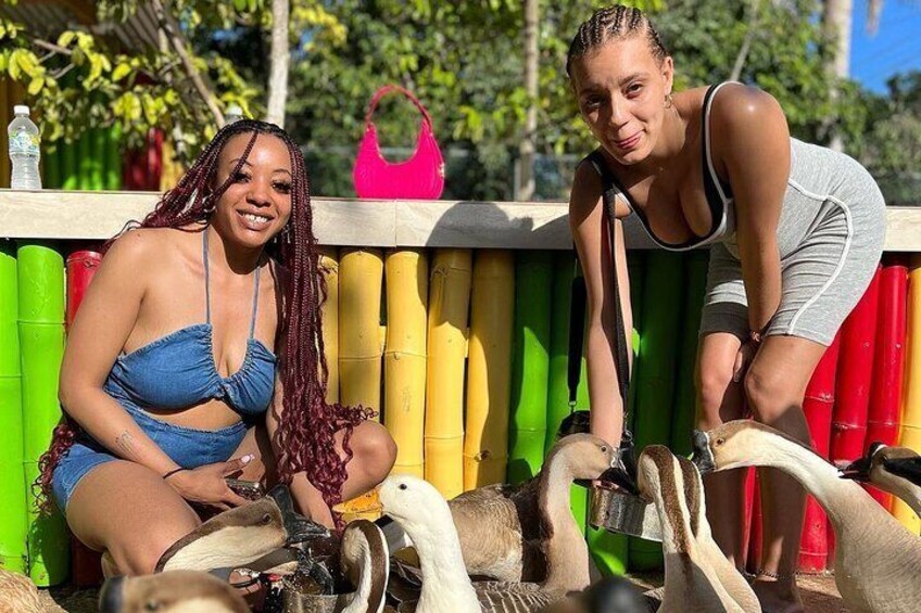 Bamboo Rafting and Limestone Foot Massage in Jamaica 