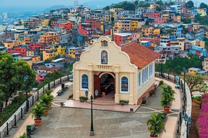 Half Day Private Tour in Guayaquil