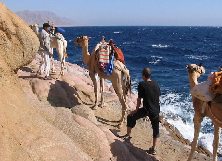 Picture 4 for Activity From Sharm: Dahab Day Trip with Desert Safari and Camel Ride