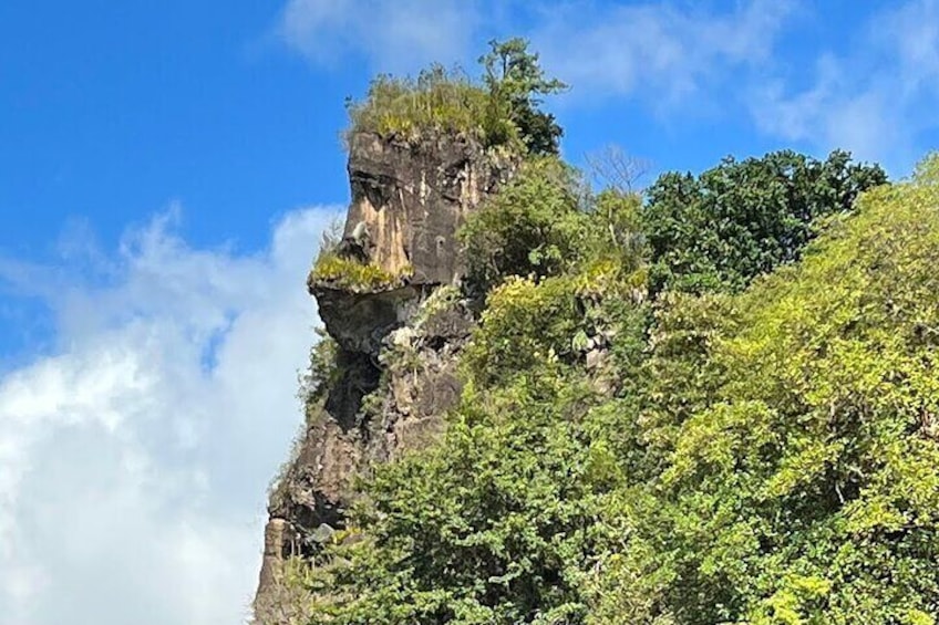 Private Tour Hike to Gorilla Rock with Swimming Questelles Beach