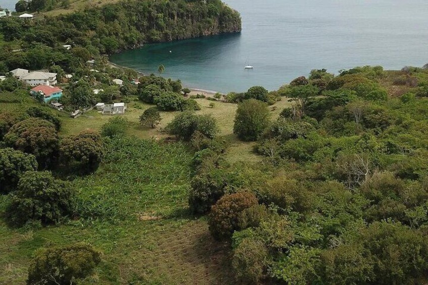 Private Tour Hike to Gorilla Rock with Swimming Questelles Beach