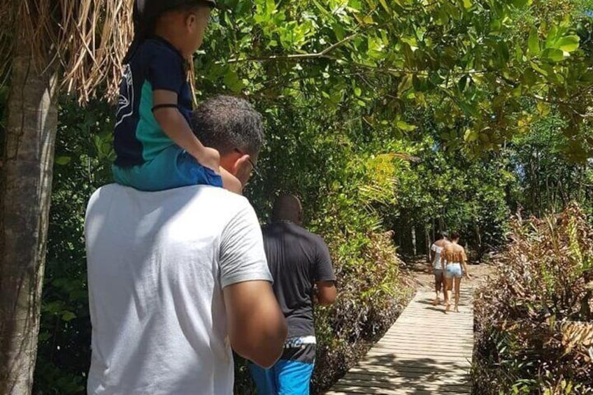 mangrove swamp bordering Baie Laraie