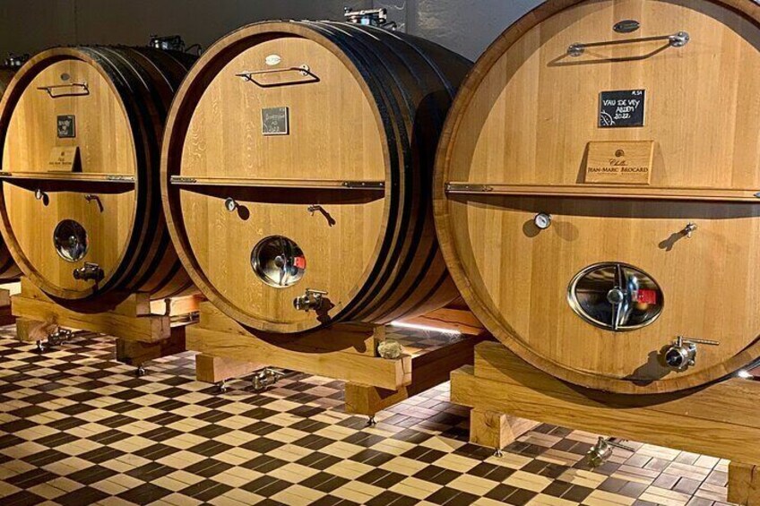 Exquisite Red & White Wines Private Trip to Burgundy from Paris