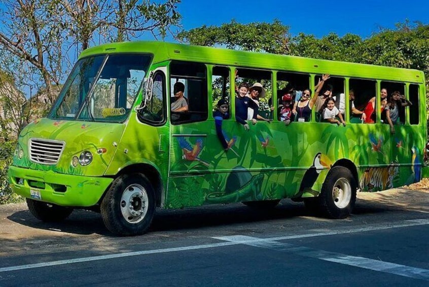 City Tour Express in Puerto Vallarta and Paradise Beaches