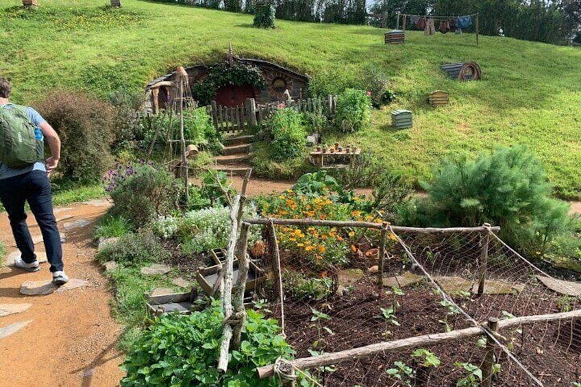 Hobbiton movie set farm