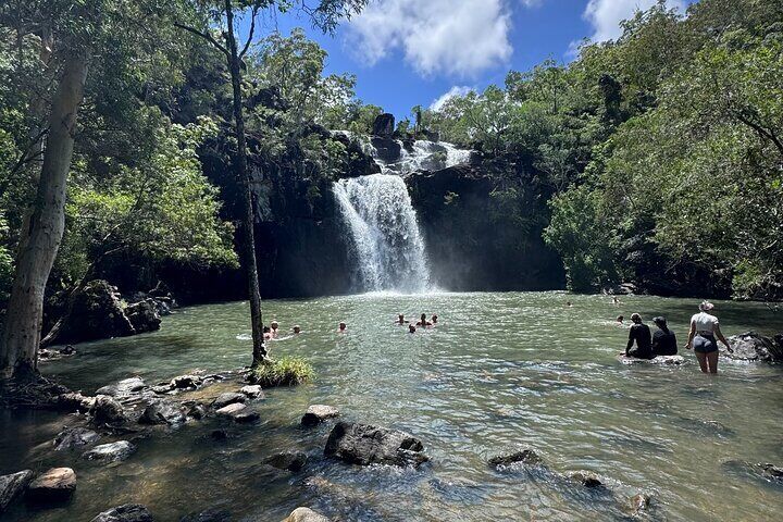 Guests swim beneath Cedar Creek Falls near Airlie Beach, surrounded by tropical rainforest and clear freshwater pools.

