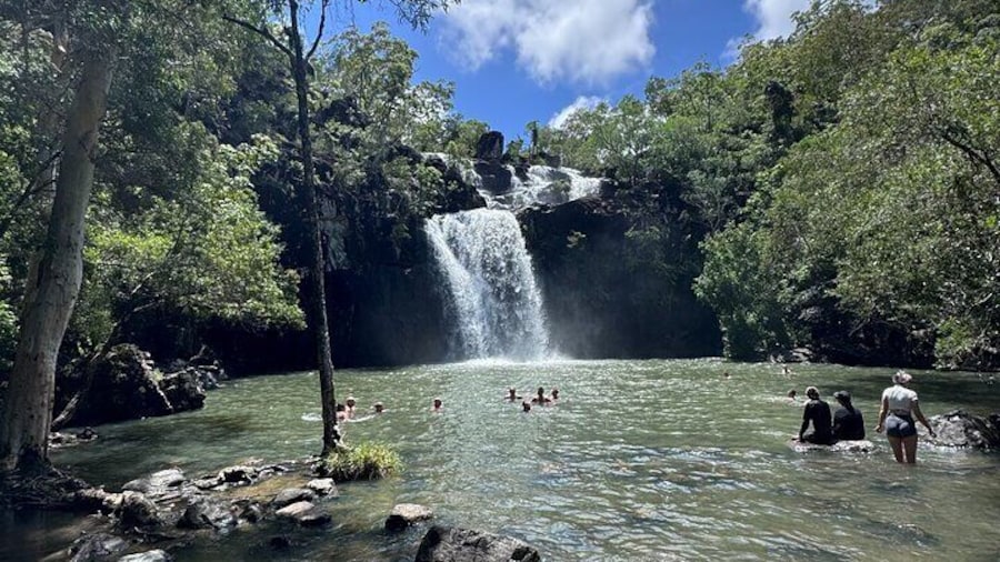 Guests swim beneath Cedar Creek Falls near Airlie Beach, surrounded by tropical rainforest and clear freshwater pools.
