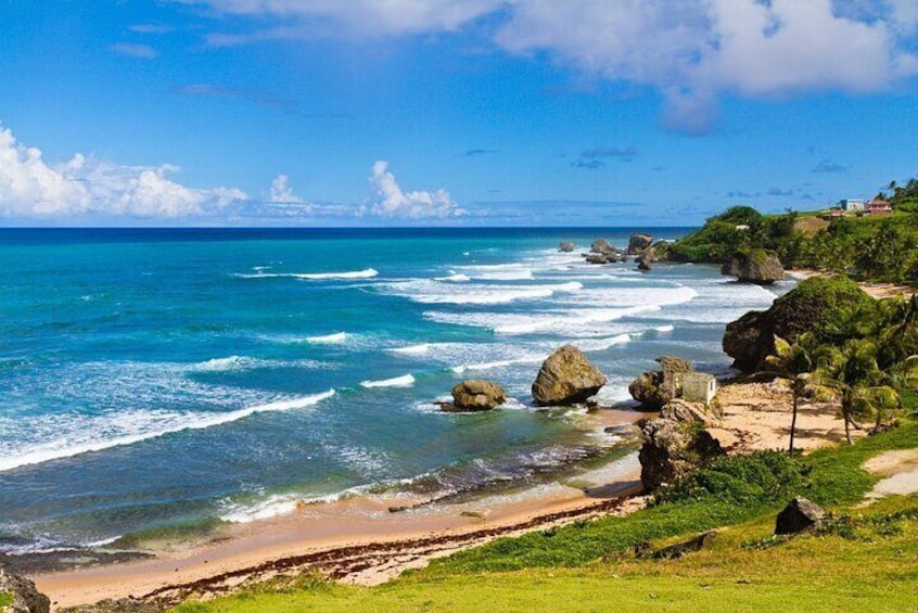 Full Day Coast to Coast Private Tour in Barbados