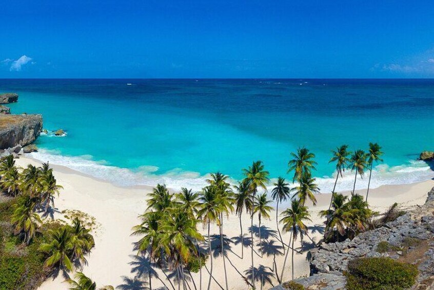 Full Day Coast to Coast Private Tour in Barbados