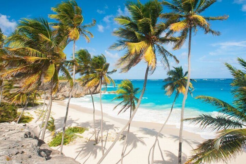 Full Day Coast to Coast Private Tour in Barbados
