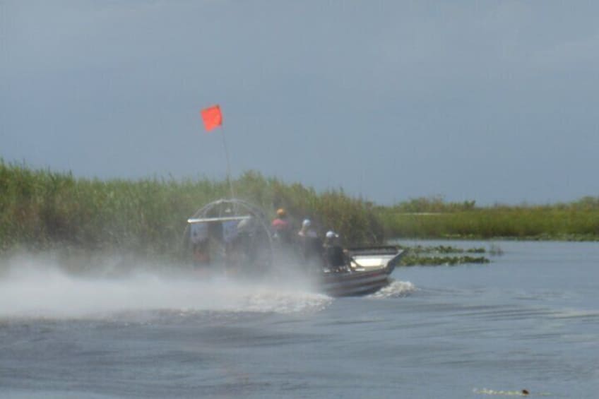 Private 90 Minutes Everglades Airboat Adventure