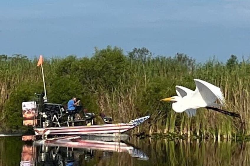 Private 90 Minutes Everglades Airboat Adventure