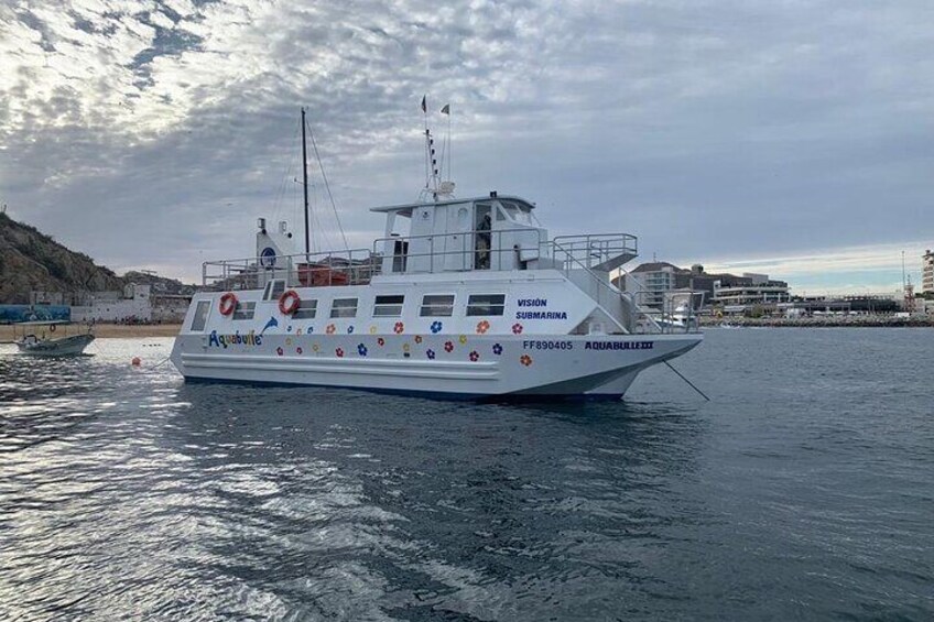 Underwater Exploration and Ocean Sighting Tour in Los Cabos