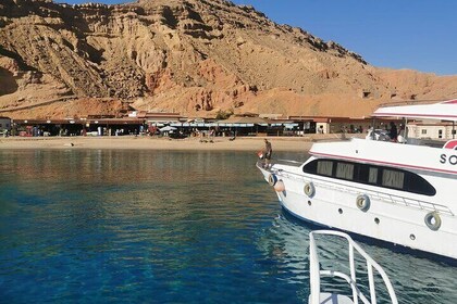 Ras Mohammed & White Island Snorkelling Trip in Sharm El Sheikh