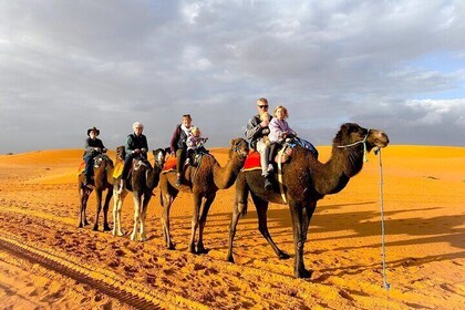 3 Days Desert Tour in Marrakech to Merzouga Dunes and Camel Trek