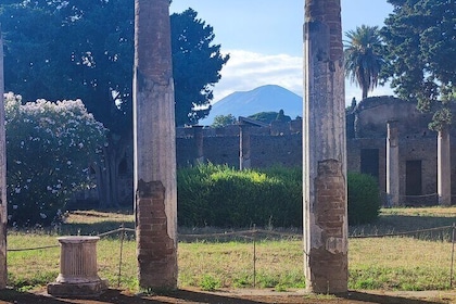 Pompeii: Tour with Archaeologist Guide & Skip-the-Line Entry