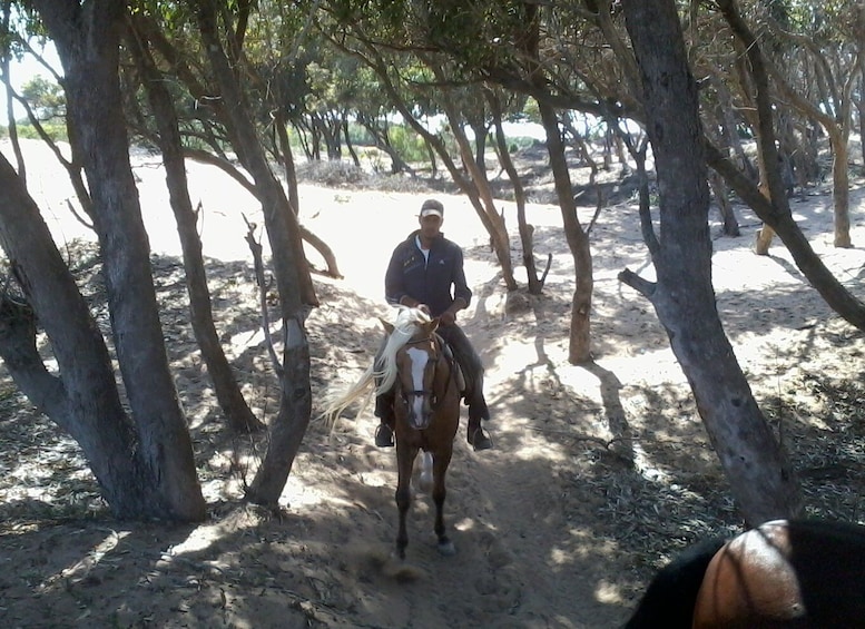 Picture 6 for Activity From Essaouira: 1-Hour Horse Ride with sunset