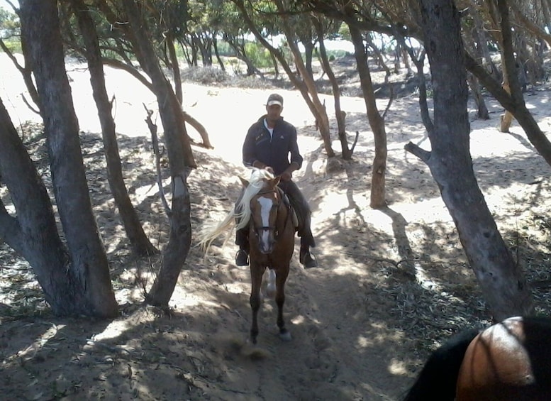 Picture 6 for Activity From Essaouira: 1-Hour Horse Ride with sunset