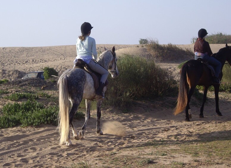 Picture 5 for Activity From Essaouira: 1-Hour Horse Ride with sunset