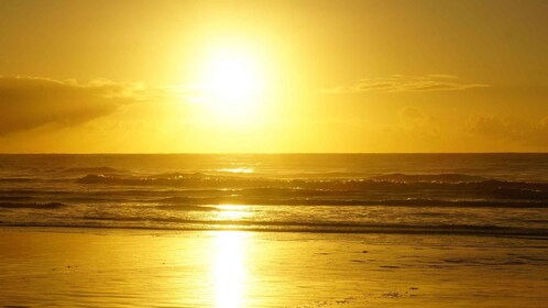 Da Essaouira: passeggiata a cavallo di un'ora con tramonto