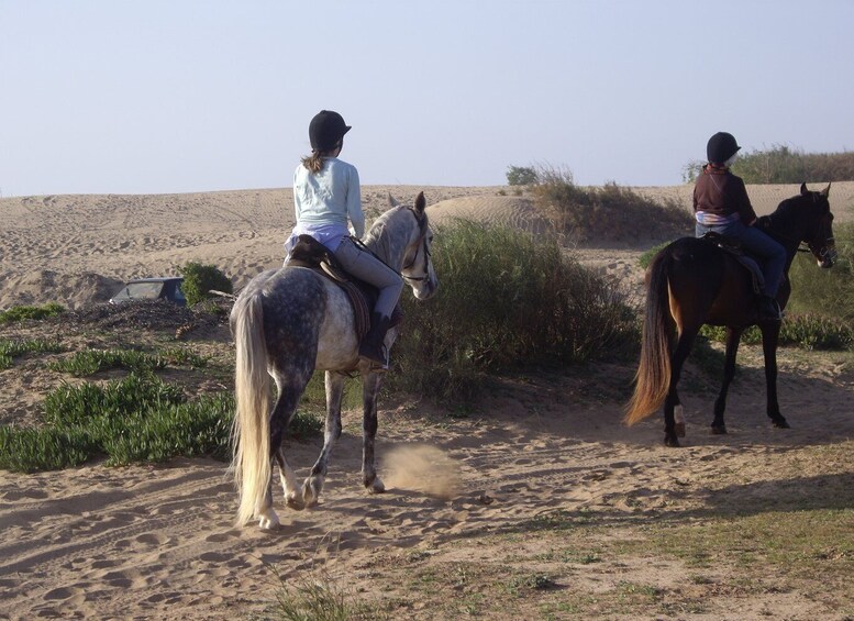 Picture 5 for Activity From Essaouira: 1-Hour Horse Ride with sunset