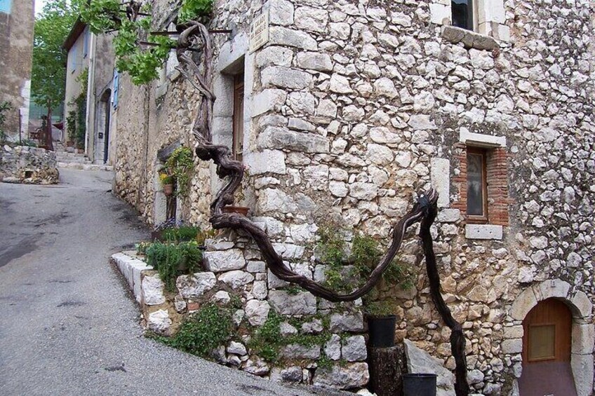 Private tour 1/2 day - French Riviera, Excursion 5h to customize