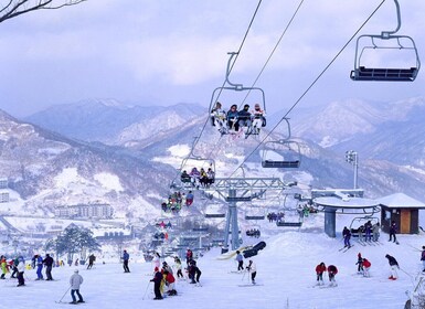 Soulista: Jisan Forest Resort