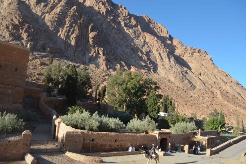 Picture 12 for Activity St Catherine Monastery Private Tour From Sharm El Sheikh