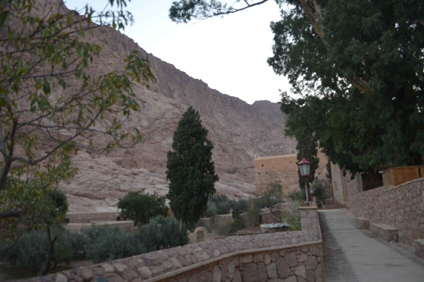 Picture 2 for Activity St Catherine Monastery Private Tour From Sharm El Sheikh