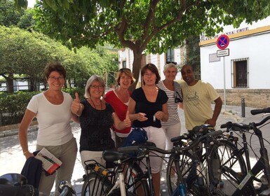 Seville: 2.5-Hour Private City Tour by Bike