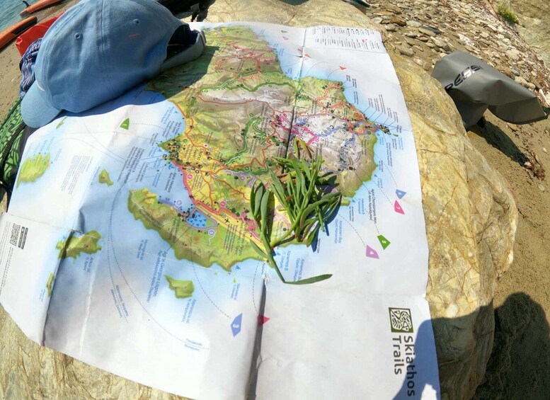 Picture 15 for Activity Skiathos: Guided SUP or Sea Kayaking Tour with Swim Stop