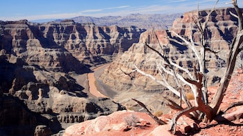 Grand Canyon West Rim Tour with Optional Skywalk Admission