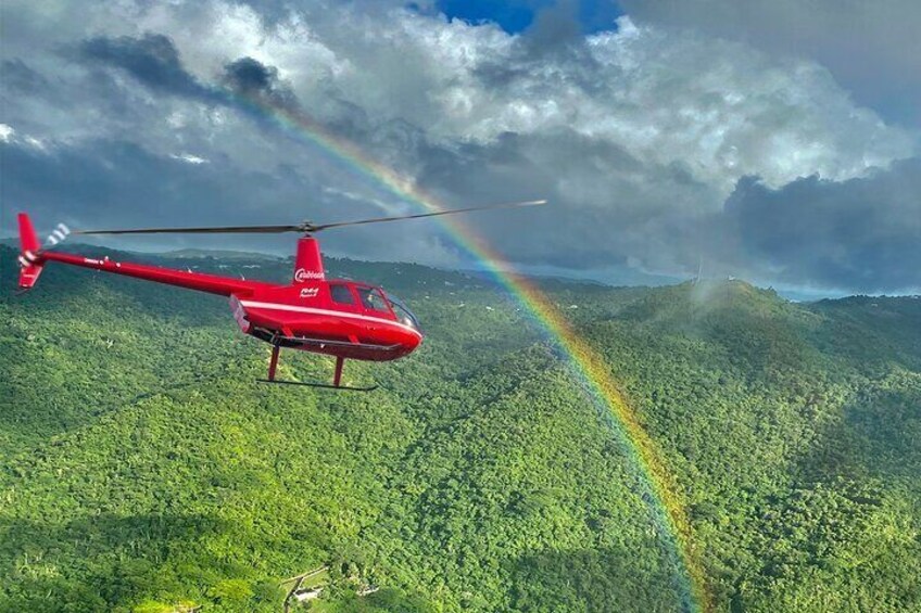 45 Minute Private Helicopter Tour Over Beautiful Puerto Rico