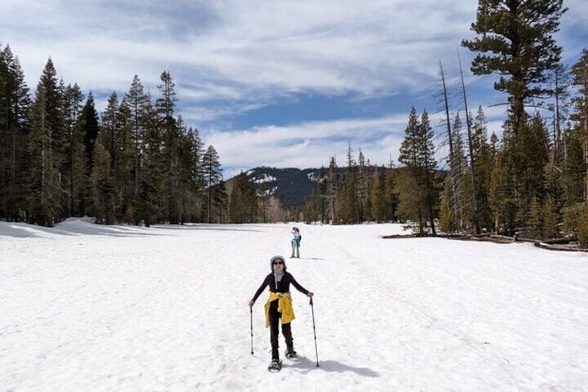 Vast Meadows to Explore at Mt. Rose Meadows