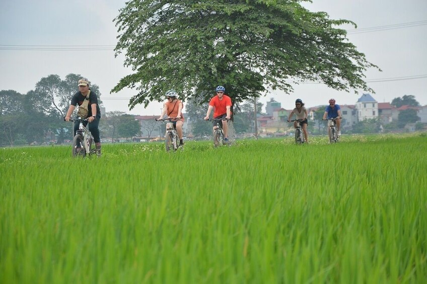 Rural Retreat Must-Try: Hanoi's Afternoon Countryside Bike Tour