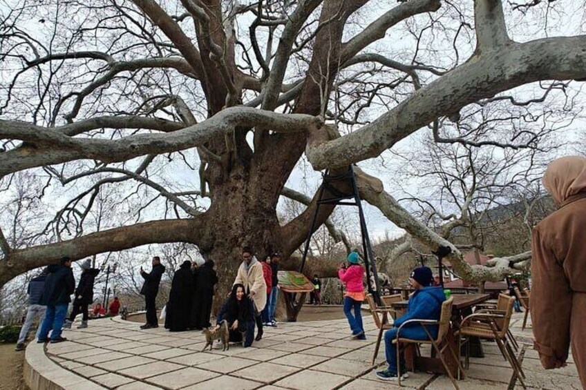 Full Day Guided Tour to Bursa and Uludag