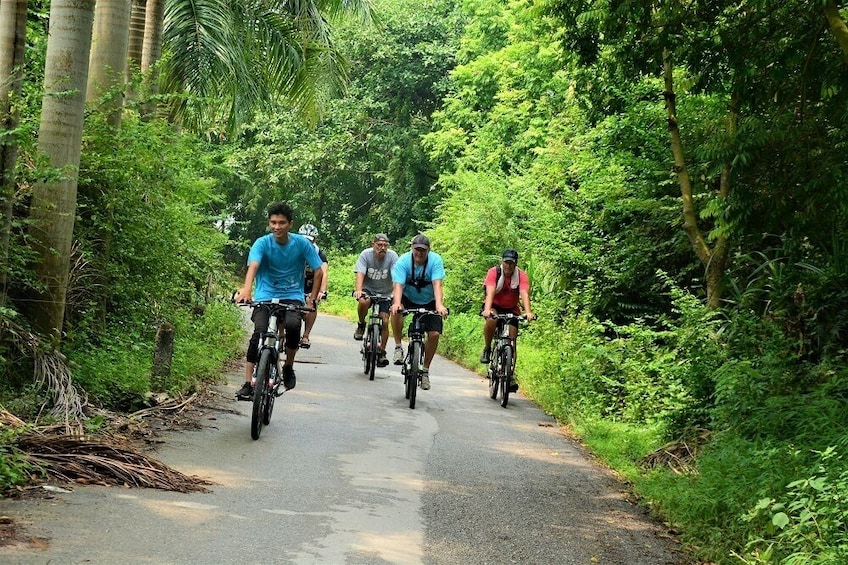 Hanoi Full-Day Bike Tour: City Sights & Co Loa Citadel