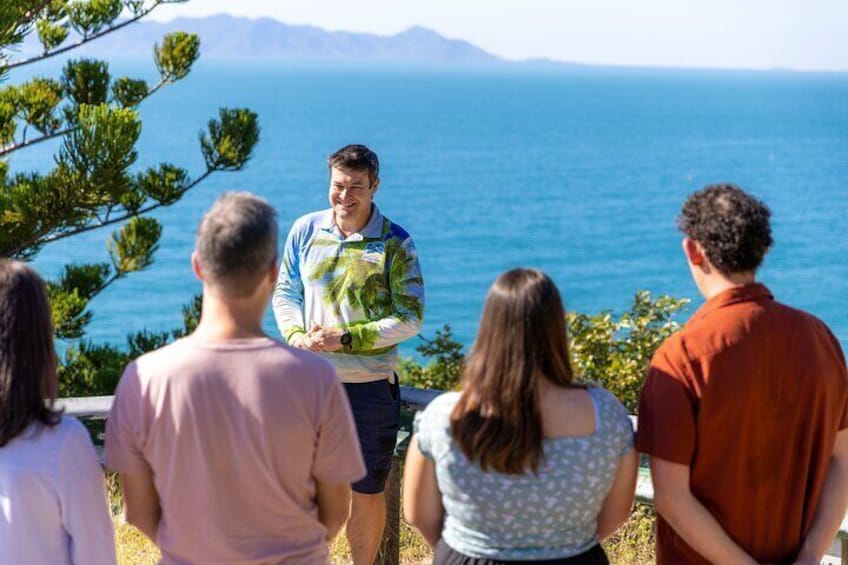 Magnetic Island Tour Behind the Scenes