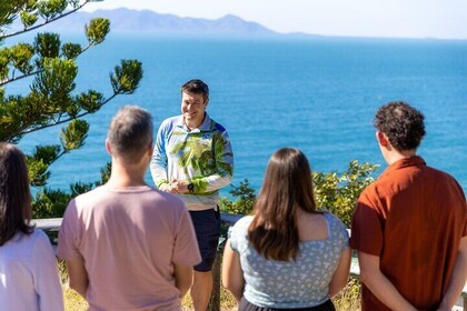 Magnetic Island Tour Behind the Scenes