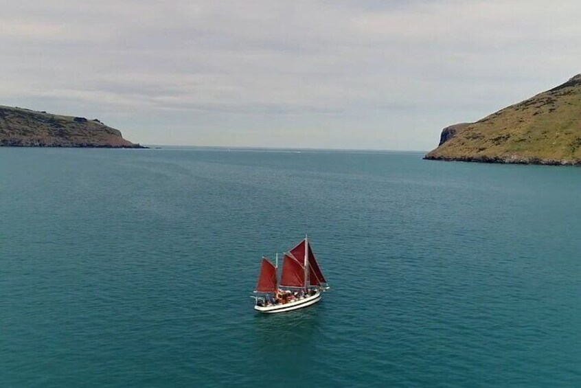 Akaroa Fox 2 Sailing and Wildlife Tour