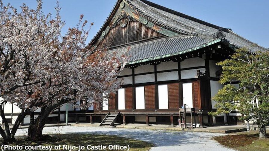 Kyoto and Nara Day Trip - Golden Pavilion and Todaiji from Osaka