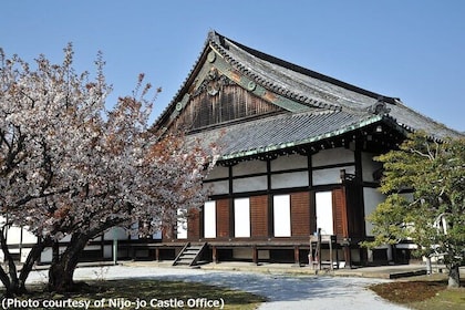 Kyoto and Nara Day Trip - Golden Pavilion and Todaiji from Osaka