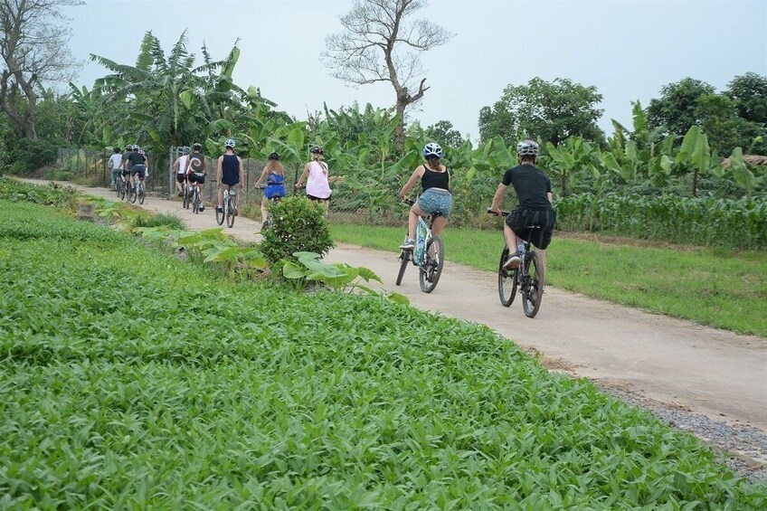 Enchanting Hanoi Bicycle Sunset Tour: Historic Bridges & Local Life