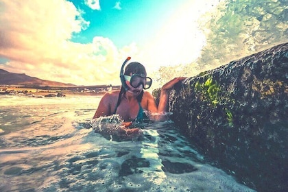 The North Coast Tour - Plantation, Rock Pool Snorkel, and Sunset