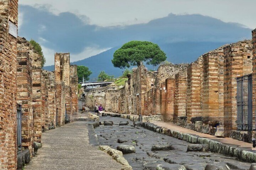 Pompeii Private Guided Tour from Naples