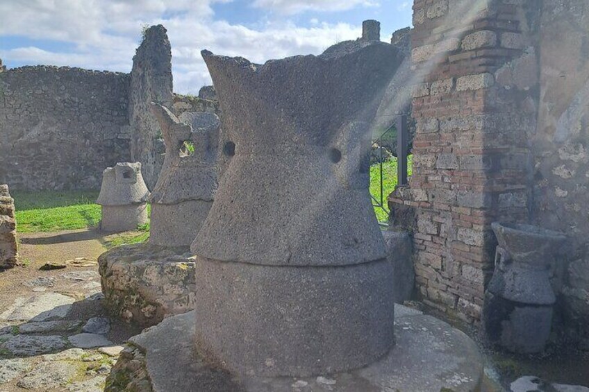 Pompeii Private Guided Tour from Naples