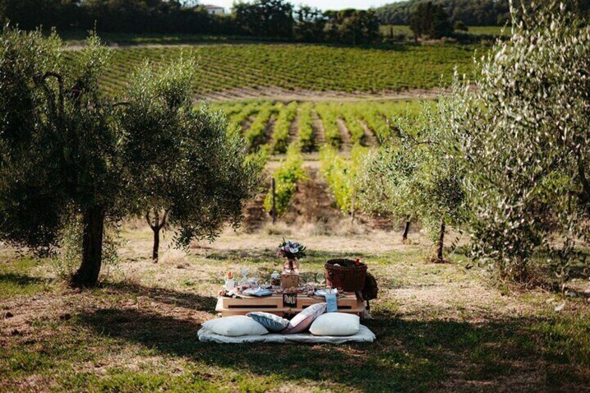 Luxury Picnic Experience in Tuscany