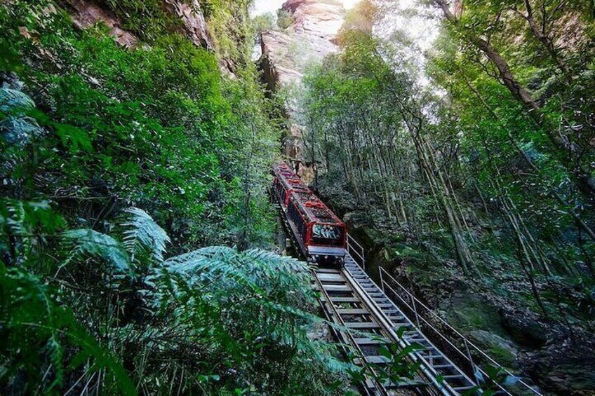 PRIVATE Blue Mountains & Scenic World tour in a Luxury Car